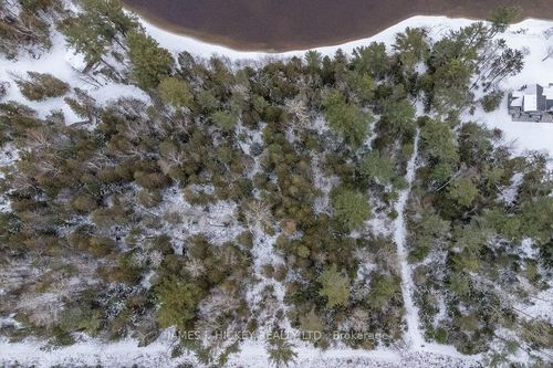 Part 1- PT LT 23, Rge B Ezylyfe Lane, Laurentian Hills, ON, K0J1P0 | Card Image