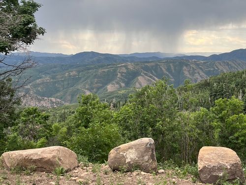 107-107 Whittemore Dr, Springville, UT, 84663 | Card Image