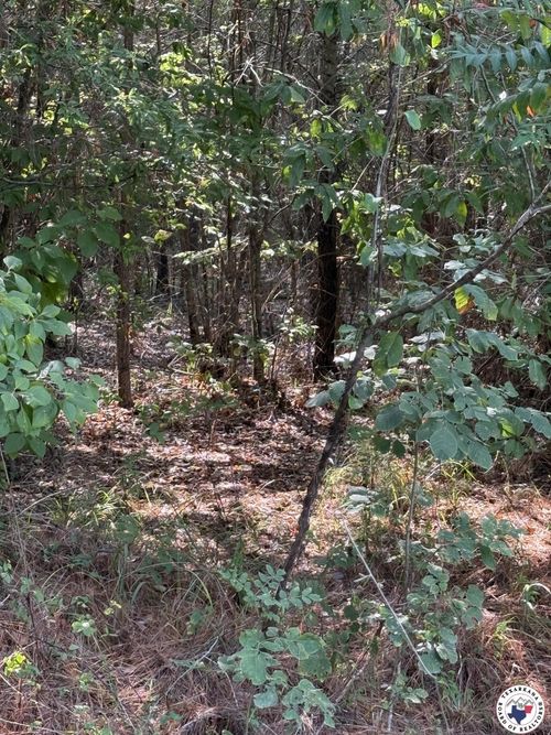 TBD T 4 Pr 1064, Fouke, AR, 71837 | Card Image