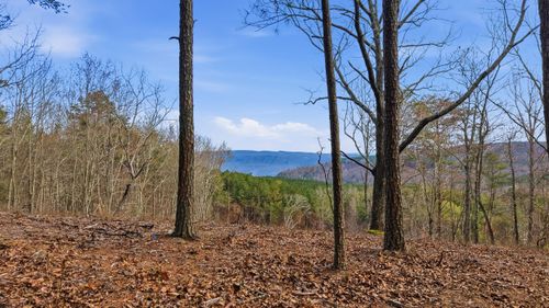 Lot 2154 Fallen Oak Pass, Guild, TN, 37340 | Card Image