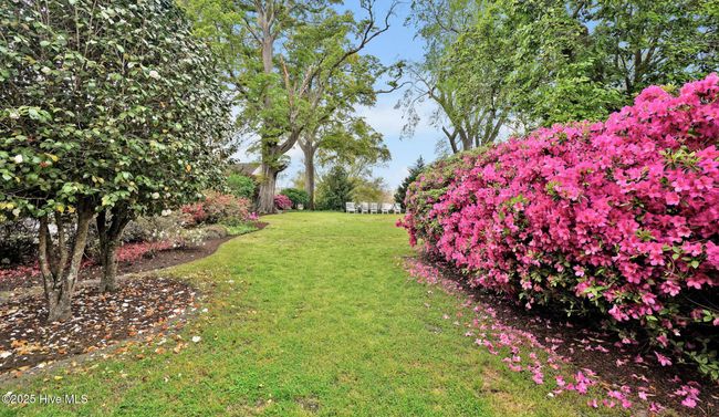 APT-1 - 416 S Front St, Condo with 0 bedrooms, 1 bathrooms and null parking in Wilmington NC | Image 41