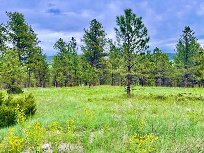 69 Colter Trl, Home with 0 bedrooms, 0 bathrooms and null parking in Columbus MT | Image 6