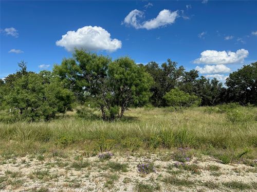 463 Feather Bay Blvd, Brownwood, TX, 76801 | Card Image