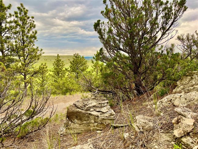 69 Colter Trl, Home with 0 bedrooms, 0 bathrooms and null parking in Columbus MT | Image 19