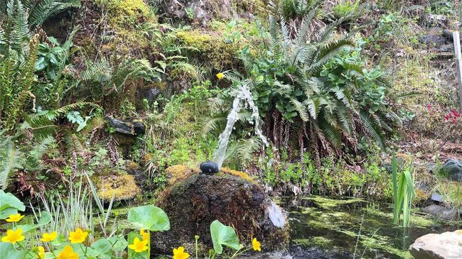 Water feature with water falling into a pond near the front steps | Image 78