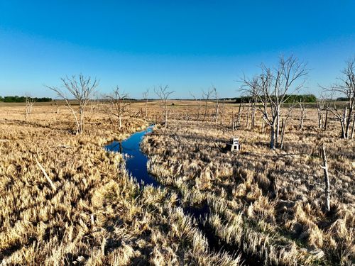 TBD County Highway 14, Madison, MN, 56256 | Card Image