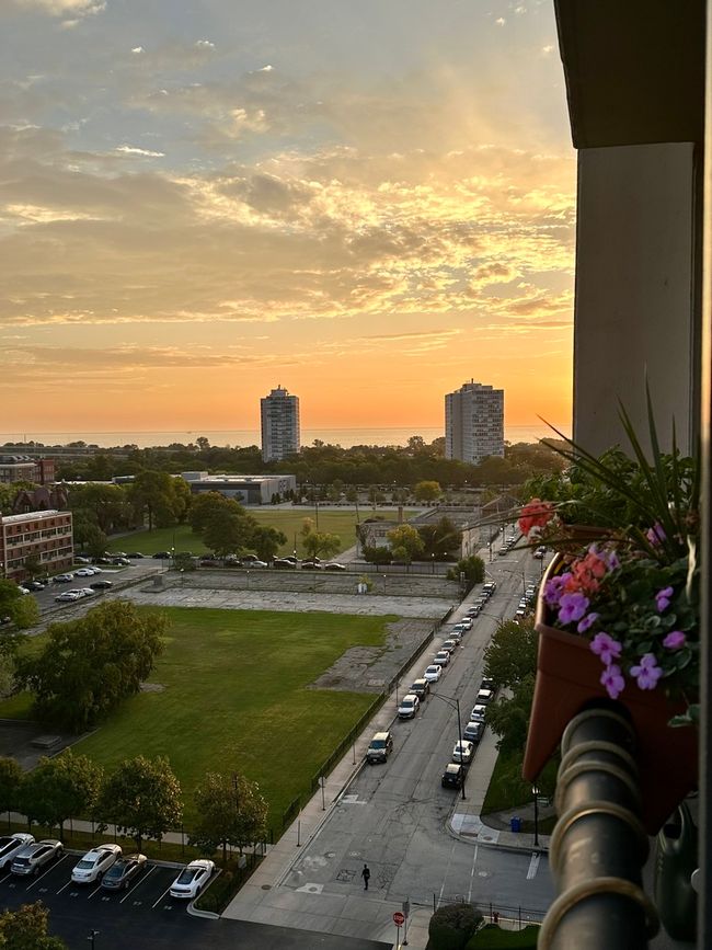 APT-1108-9 - 2901 S Michigan Ave, Condo with 2 bedrooms, 2 bathrooms and null parking in Chicago IL | Image 24