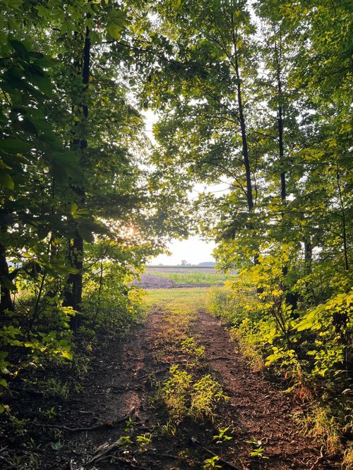 0 Norton Rd, Radnor, OH, 43066 | Card Image