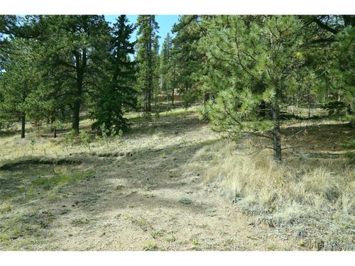 188 Brown St, BAILEY, CO, 80421-1518 | Card Image