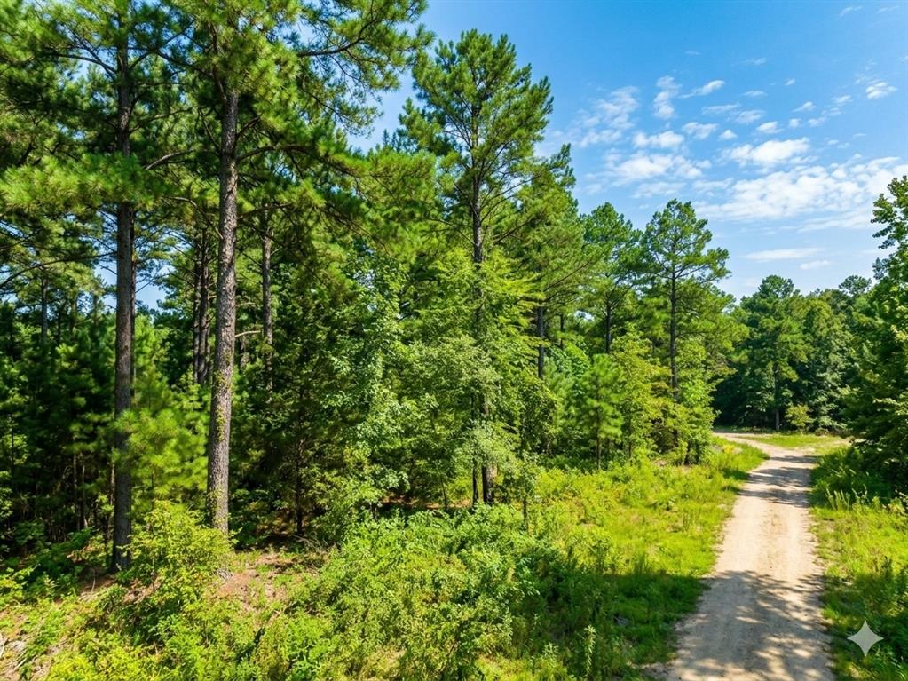 Land in Hochatown 3