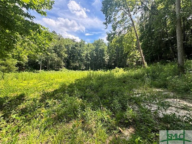 Open area | Image 28
