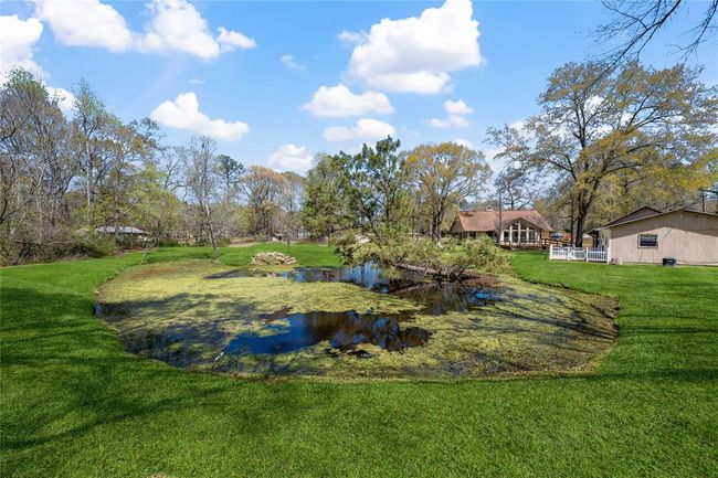 Pond | Image 40
