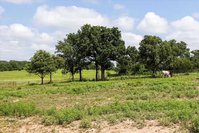 6111 Wild Cat Knob Rd, House other with 4 bedrooms, 3 bathrooms and null parking in Tolar TX | Image 23