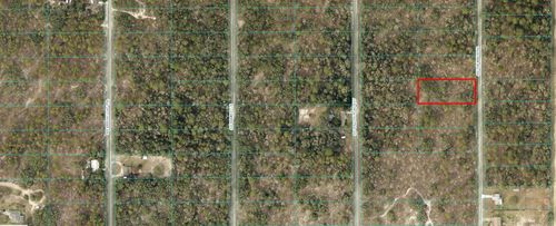 0 Sw Viburnum Rd, Dunnellon, FL, 34431 | Card Image