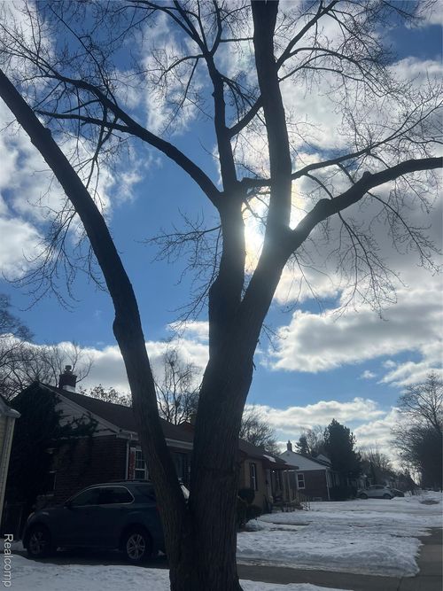 20264 Waltham St, Detroit, MI, 48205-1041 | Card Image
