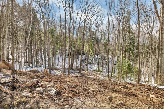 0 Franconia Dr, Home with 0 bedrooms, 0 bathrooms and null parking in New Durham NH | Image 7