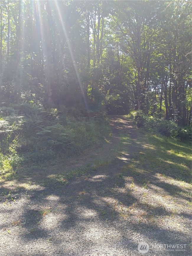 1053 Se Binns Swiger Loop Rd, Home with 0 bedrooms, 0 bathrooms and null parking in Shelton WA | Image 6