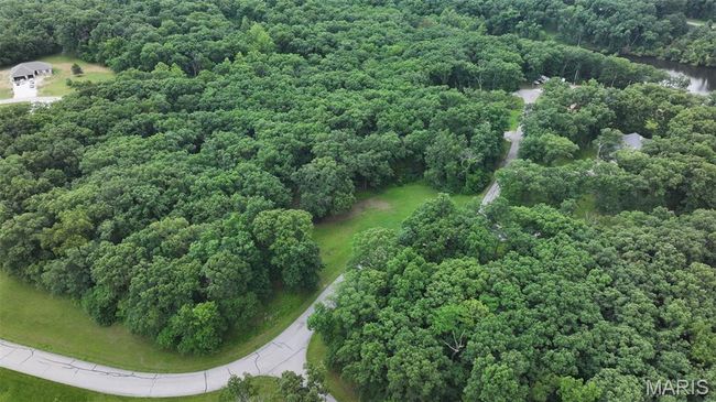 Drone / aerial view of a forest and a nearby body of water | Image 15