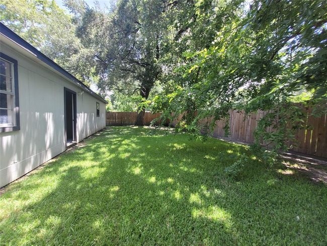 Back yard | Image 33