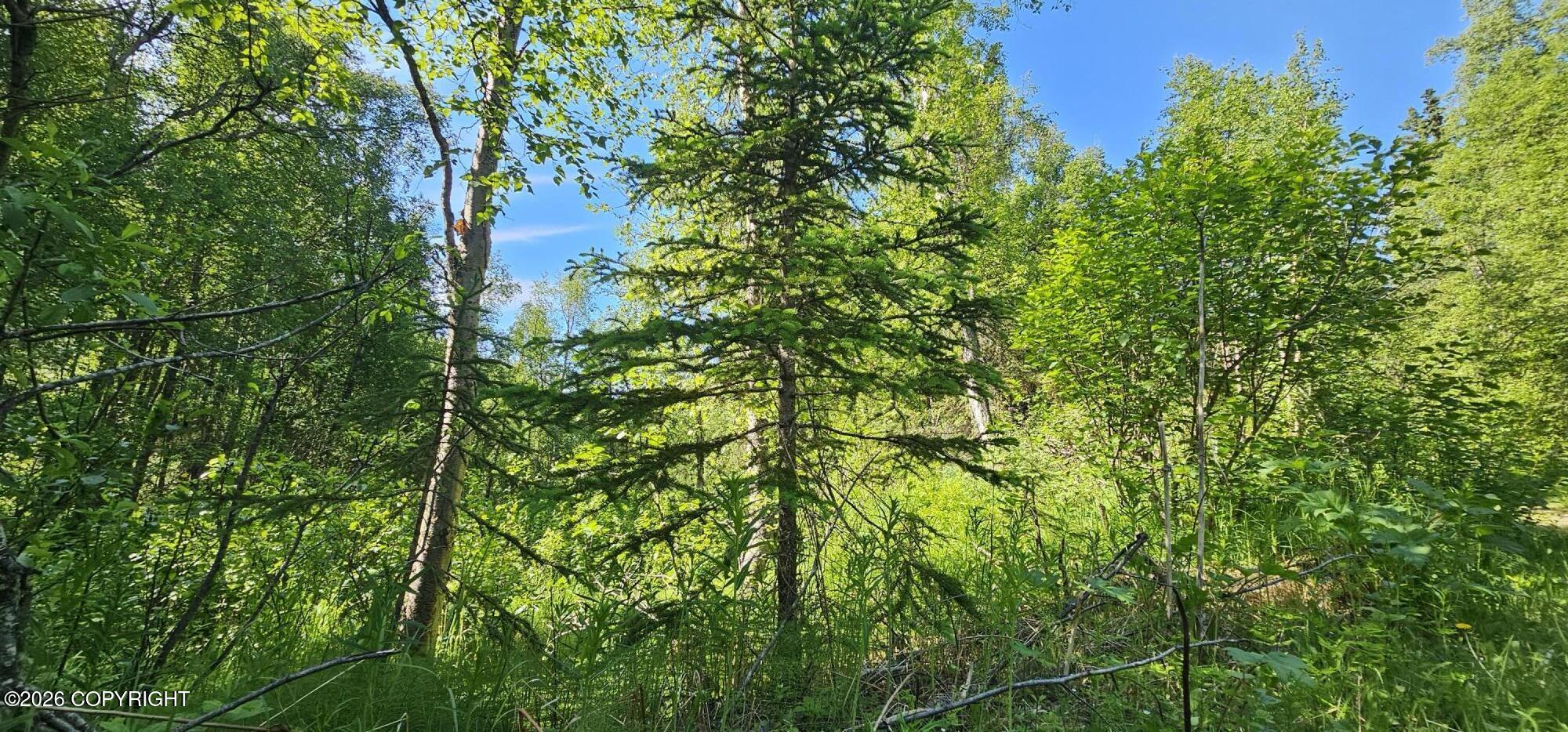 Land in Eagle River 4