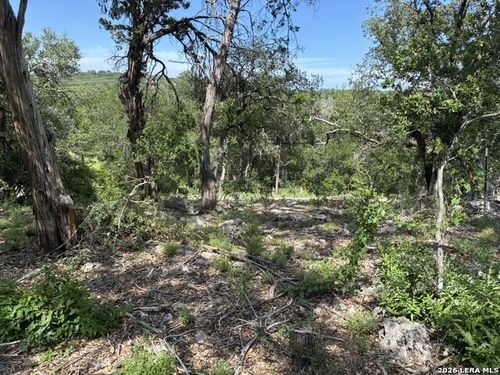 3020 Tanglewood Trl, Spring Branch, TX, 78070-5340 | Card Image