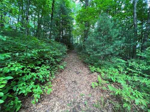 0000 Courtney Ct, Brevard, NC, 28712 | Card Image