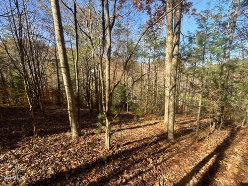 11/Ac Highway 19 E, Hampton, TN, 37658 | Card Image