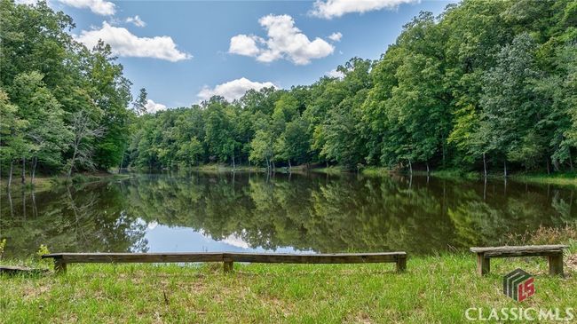724 Bertha Willis Rd, House other with 3 bedrooms, 3 bathrooms and 4 parking in Carlton GA | Image 57