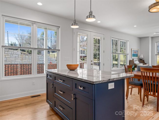 60 Skyvue Ct, Townhouse with 2 bedrooms, 3 bathrooms and null parking in Saluda NC | Image 16