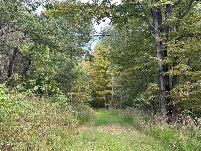 2 Glade Pike, Home with 0 bedrooms, 0 bathrooms and null parking in Manns Choice PA | Image 5