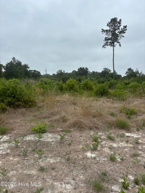 Lot 22 General Lee Ln, Clinton, NC, 28328-1090 | Card Image