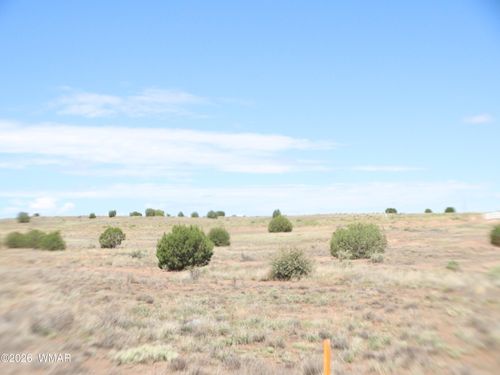 1191 W Pinedale Rd, Taylor, AZ, 85939 | Card Image