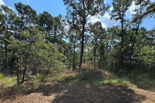 0 Hula Ln, Bastrop, TX, 78602 | Card Image