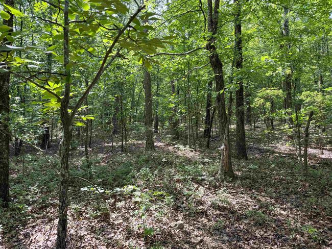38 High Point Dr, Home with 0 bedrooms, 0 bathrooms and null parking in Mayflower AR | Image 7