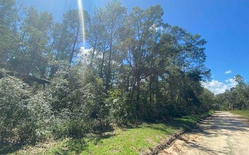 0 Ne Blue Springs Church Rd, Lee, FL, 32059 | Card Image