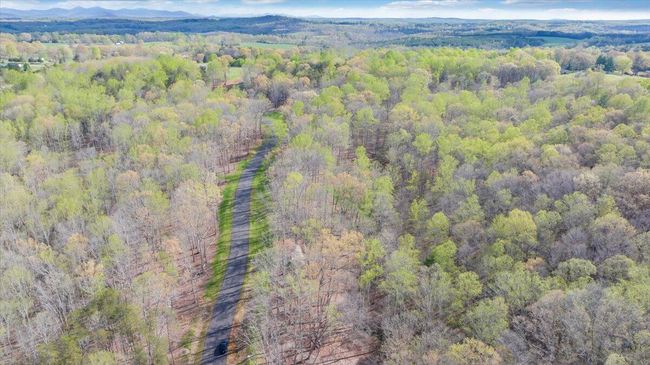 09-DJI_20240413094742_0009_D_MIB | Image 34