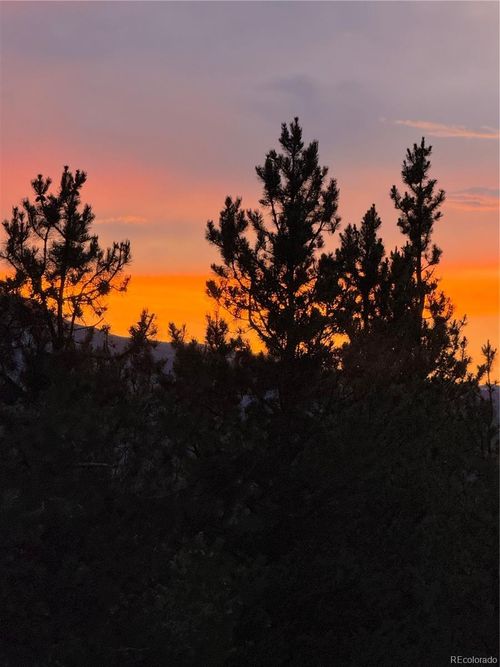 446 Mt Massive Rd, Twin Lakes, CO, 81251 | Card Image