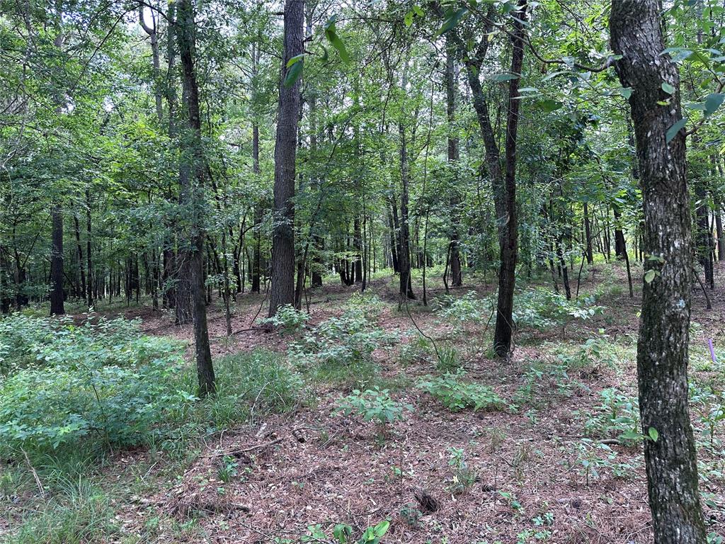 Land in Broken Bow