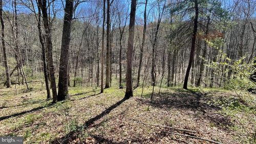 642 Tearcoat Rd, AUGUSTA, WV, 26704 | Card Image