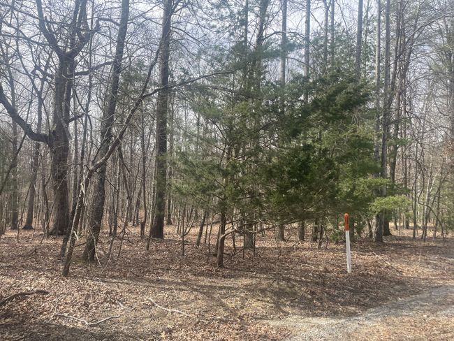 0 Quintard Rd, Home with 0 bedrooms, 0 bathrooms and null parking in Sewanee TN | Image 5