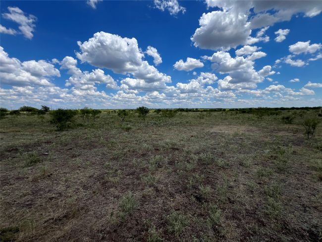Native Pasture | Image 9