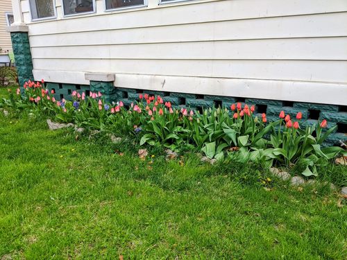 813 W Jefferson St, Bloomington, IL, 61701-3832 | Card Image