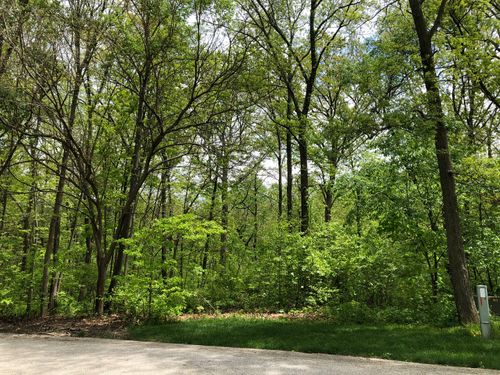 7 Turtle Pt, Monticello, IL, 61856-8268 | Card Image