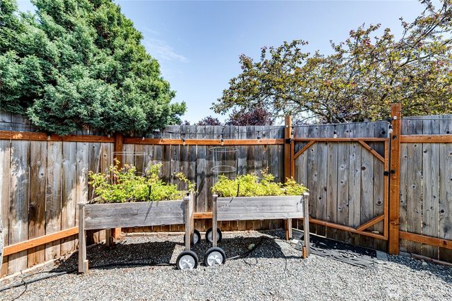 Garden area. | Image 36