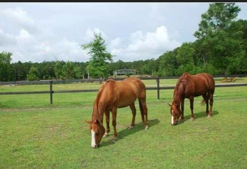 2003 United Dr, Huger, SC, 29450-9345 | Card Image