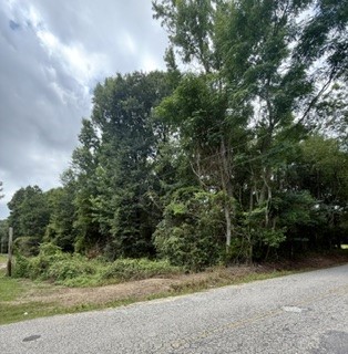 Land in Opelika 5