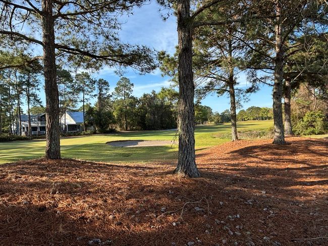 213 Eagles Way, Condo with 2 bedrooms, 2 bathrooms and 2 parking in CARRABELLE FL | Image 48