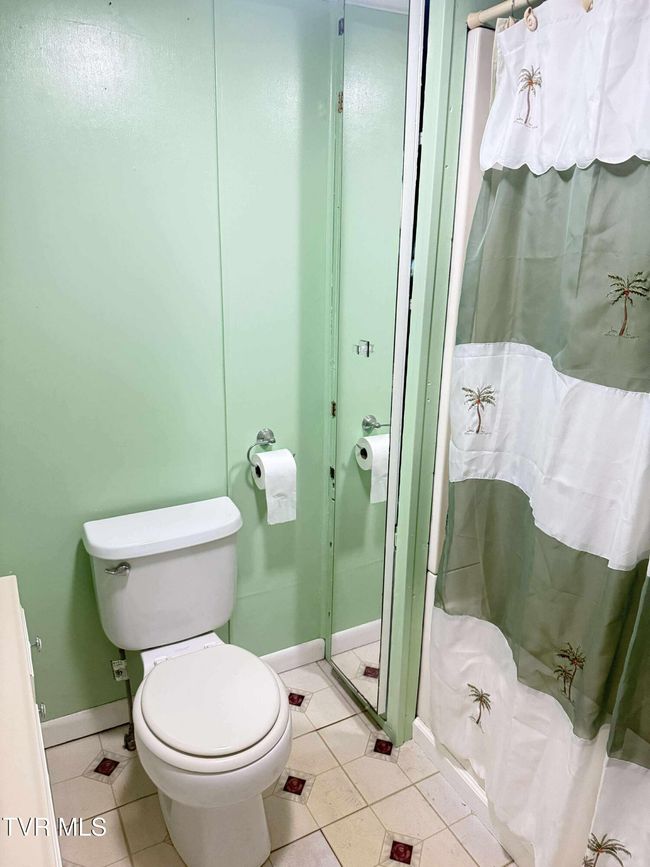 244 2 Nd Ave, House other with 2 bedrooms, 1 bathrooms and null parking in Dungannon VA | Image 14