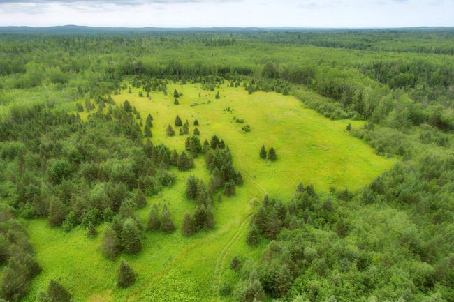 16499 Hwy 45, Home with 0 bedrooms, 0 bathrooms and null parking in Bruce Crossing MI | Image 9