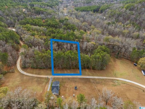 12-Lot 12 County Road 219, Piedmont, AL, 36272-5601 | Card Image